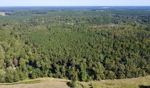 Photo #1 of Off Bunnlevel Erwin Rd, Bunnlevel, NC 41.4 acres