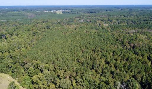 Photo #2 of Off Bunnlevel Erwin Rd, Bunnlevel, NC 41.4 acres