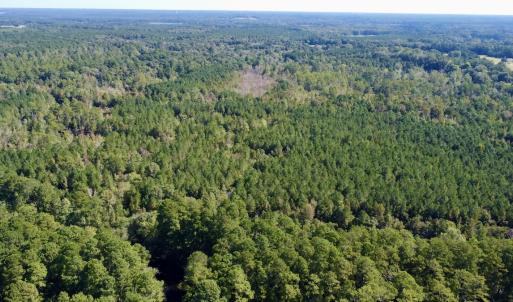Photo #20 of Off Bunnlevel Erwin Rd, Bunnlevel, NC 41.4 acres