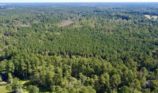 Photo #21 of Off Bunnlevel Erwin Rd, Bunnlevel, NC 41.4 acres