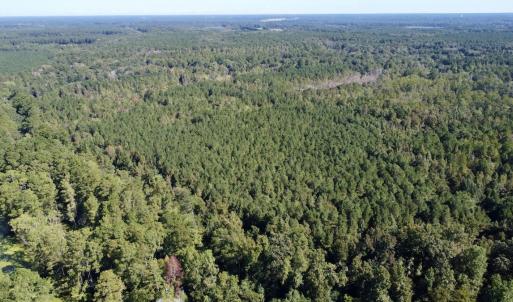Photo #22 of Off Bunnlevel Erwin Rd, Bunnlevel, NC 41.4 acres