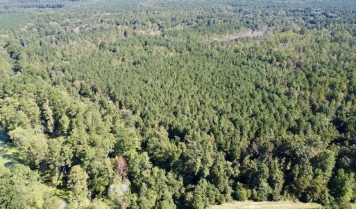 Photo #23 of Off Bunnlevel Erwin Rd, Bunnlevel, NC 41.4 acres