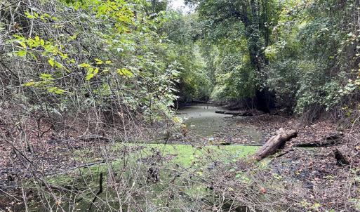 Photo #24 of Off Bunnlevel Erwin Rd, Bunnlevel, NC 41.4 acres