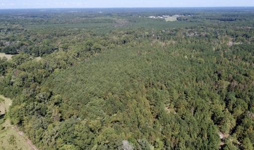 Photo #3 of Off Bunnlevel Erwin Rd, Bunnlevel, NC 41.4 acres