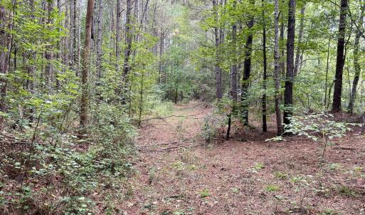 Photo #32 of Off Bunnlevel Erwin Rd, Bunnlevel, NC 41.4 acres