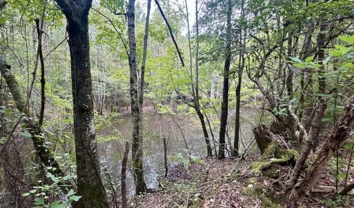 Photo #33 of Off Bunnlevel Erwin Rd, Bunnlevel, NC 41.4 acres