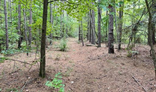 Photo #34 of Off Bunnlevel Erwin Rd, Bunnlevel, NC 41.4 acres