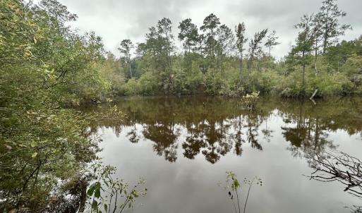 Photo #35 of Off Bunnlevel Erwin Rd, Bunnlevel, NC 41.4 acres
