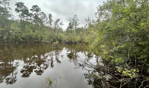 Photo #36 of Off Bunnlevel Erwin Rd, Bunnlevel, NC 41.4 acres