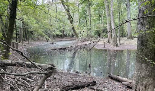 Photo #39 of Off Bunnlevel Erwin Rd, Bunnlevel, NC 41.4 acres