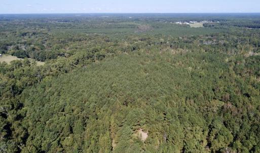 Photo #4 of Off Bunnlevel Erwin Rd, Bunnlevel, NC 41.4 acres