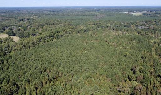 Photo #5 of Off Bunnlevel Erwin Rd, Bunnlevel, NC 41.4 acres