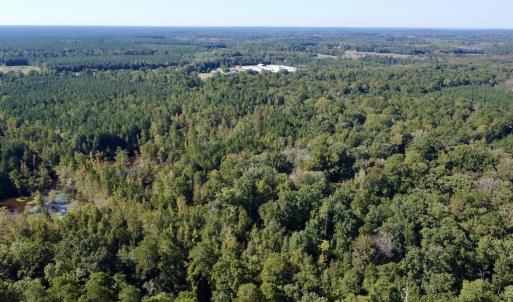 Photo #6 of Off Bunnlevel Erwin Rd, Bunnlevel, NC 41.4 acres