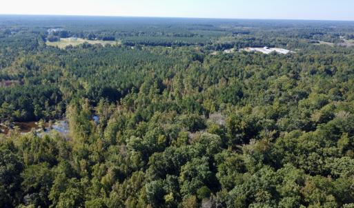 Photo #7 of Off Bunnlevel Erwin Rd, Bunnlevel, NC 41.4 acres