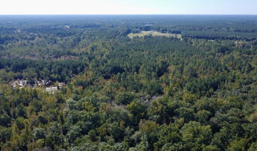 Photo #8 of Off Bunnlevel Erwin Rd, Bunnlevel, NC 41.4 acres