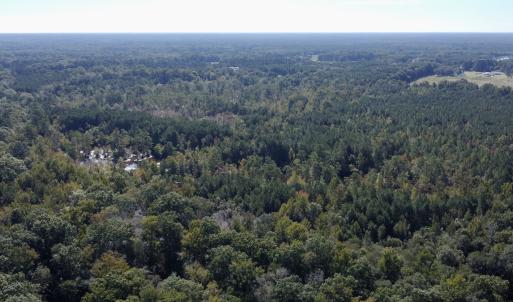 Photo #9 of Off Bunnlevel Erwin Rd, Bunnlevel, NC 41.4 acres