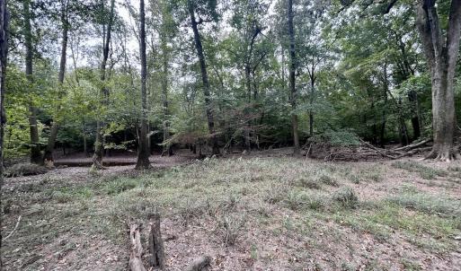 Photo #41 of Off Bunnlevel Erwin Rd, Bunnlevel, NC 41.4 acres
