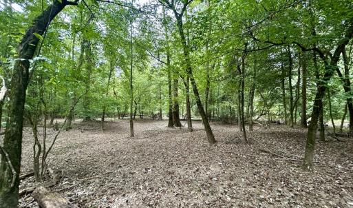 Photo #42 of Off Bunnlevel Erwin Rd, Bunnlevel, NC 41.4 acres