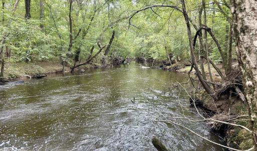 Photo #46 of Off Bunnlevel Erwin Rd, Bunnlevel, NC 41.4 acres