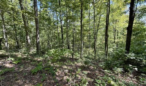 Photo #12 of 240 old Stone Dr Lot 47, Crumpler, NC 5.3 acres