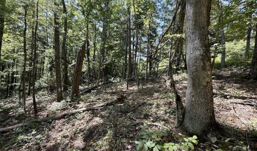 Photo #14 of 240 old Stone Dr Lot 47, Crumpler, NC 5.3 acres