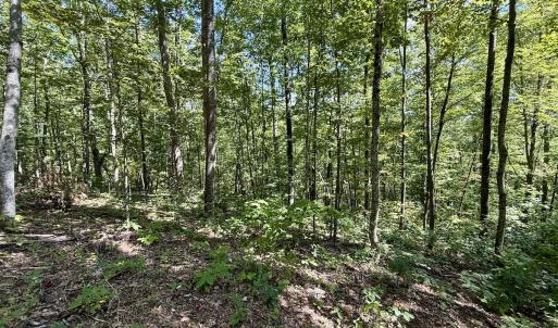 Photo #15 of 240 old Stone Dr Lot 47, Crumpler, NC 5.3 acres