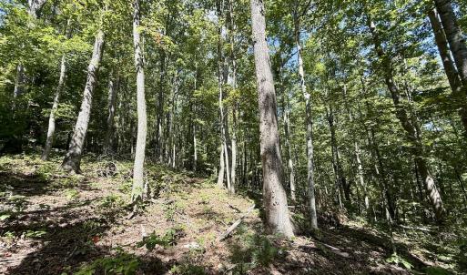 Photo #18 of 240 old Stone Dr Lot 47, Crumpler, NC 5.3 acres