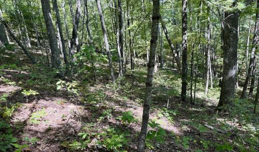 Photo #26 of 240 old Stone Dr Lot 47, Crumpler, NC 5.3 acres