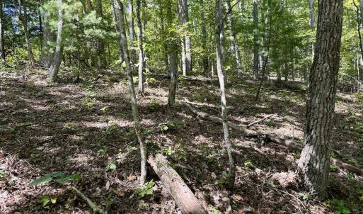 Photo #29 of 240 old Stone Dr Lot 47, Crumpler, NC 5.3 acres