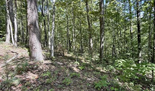 Photo #30 of 240 old Stone Dr Lot 47, Crumpler, NC 5.3 acres