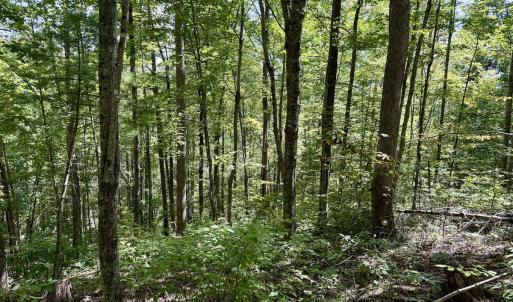 Photo #32 of 240 old Stone Dr Lot 47, Crumpler, NC 5.3 acres