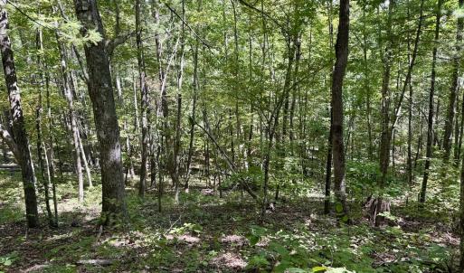 Photo #34 of 240 old Stone Dr Lot 47, Crumpler, NC 5.3 acres
