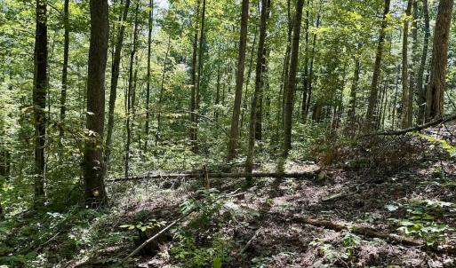 Photo #36 of 240 old Stone Dr Lot 47, Crumpler, NC 5.3 acres