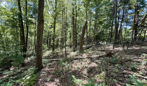 Photo #10 of 240 old Stone Dr Lot 47, Crumpler, NC 5.3 acres