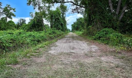 Photo #11 of Off E Waterway Dr, Belhaven, NC 60.0 acres
