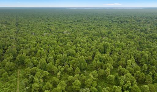 Photo #12 of Off E Waterway Dr, Belhaven, NC 60.0 acres