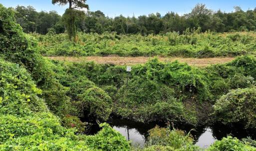 Photo #17 of Off E Waterway Dr, Belhaven, NC 60.0 acres