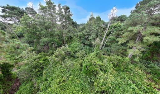 Photo #18 of Off E Waterway Dr, Belhaven, NC 60.0 acres