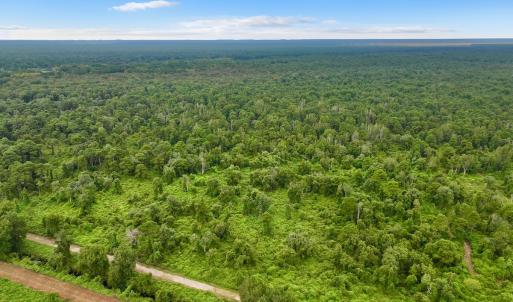 Photo #2 of Off E Waterway Dr, Belhaven, NC 60.0 acres