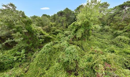 Photo #21 of Off E Waterway Dr, Belhaven, NC 60.0 acres