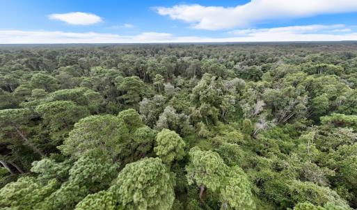 Photo #3 of Off E Waterway Dr, Belhaven, NC 60.0 acres