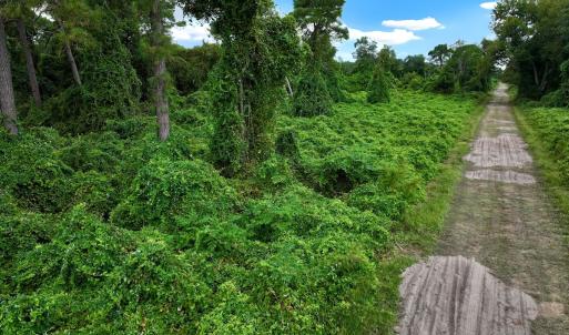 Photo #4 of Off E Waterway Dr, Belhaven, NC 60.0 acres
