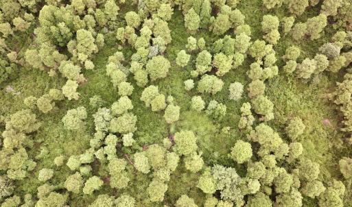 Photo #7 of Off E Waterway Dr, Belhaven, NC 60.0 acres