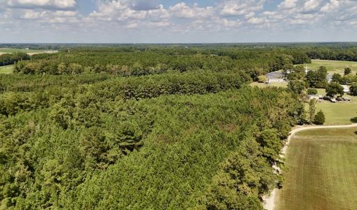 Photo #9 of Off Bessie Ln, Lumberton, NC 4.2 acres