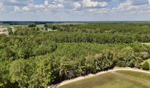 Photo #10 of Off Bessie Ln, Lumberton, NC 4.2 acres