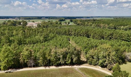 Photo #11 of Off Bessie Ln, Lumberton, NC 4.2 acres