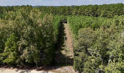 Photo #12 of Off Bessie Ln, Lumberton, NC 4.2 acres
