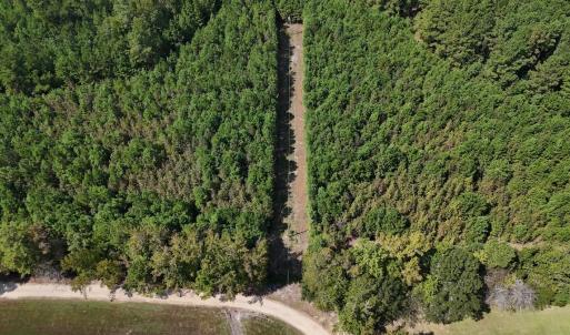 Photo #13 of Off Bessie Ln, Lumberton, NC 4.2 acres