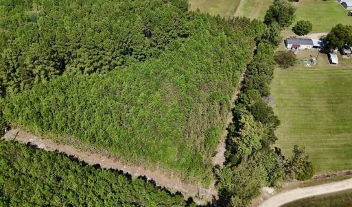 Photo #14 of Off Bessie Ln, Lumberton, NC 4.2 acres