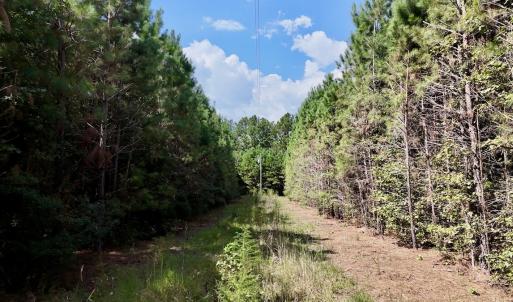 Photo #15 of Off Bessie Ln, Lumberton, NC 4.2 acres